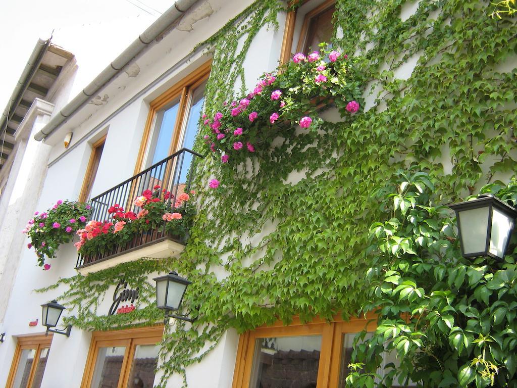 Gimi Vendégház Baja Exterior foto